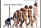 Addressing a Question About Human Evolution – By A.Z