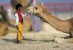 Where being a camel is better than being a poor human child – by Irfan Ahmed