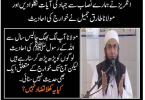 Tariq Jameel and Tablighi Jamaat want to destroy the Roza-e-Rasool but remain silent on Khawarij – Zaid Hamid