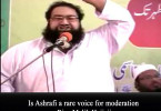 Is Ashrafi a rare voice for moderation – Riaz Malik Hajjaji