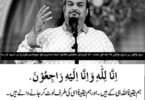 فخر اہلسنت امجد صابری کی مظلومانہ شہادت پر دیوبندی، جماعتی اور ناصبی خوارج کی منافقت کی انتہا – سنی فار پیس